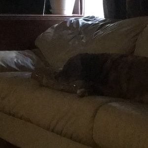 Meet your Posher, Wesley